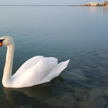 Διαμέρισμα Ilona Apartmanhaz