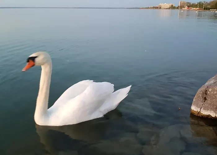 Daire Ilona Apartmanhaz